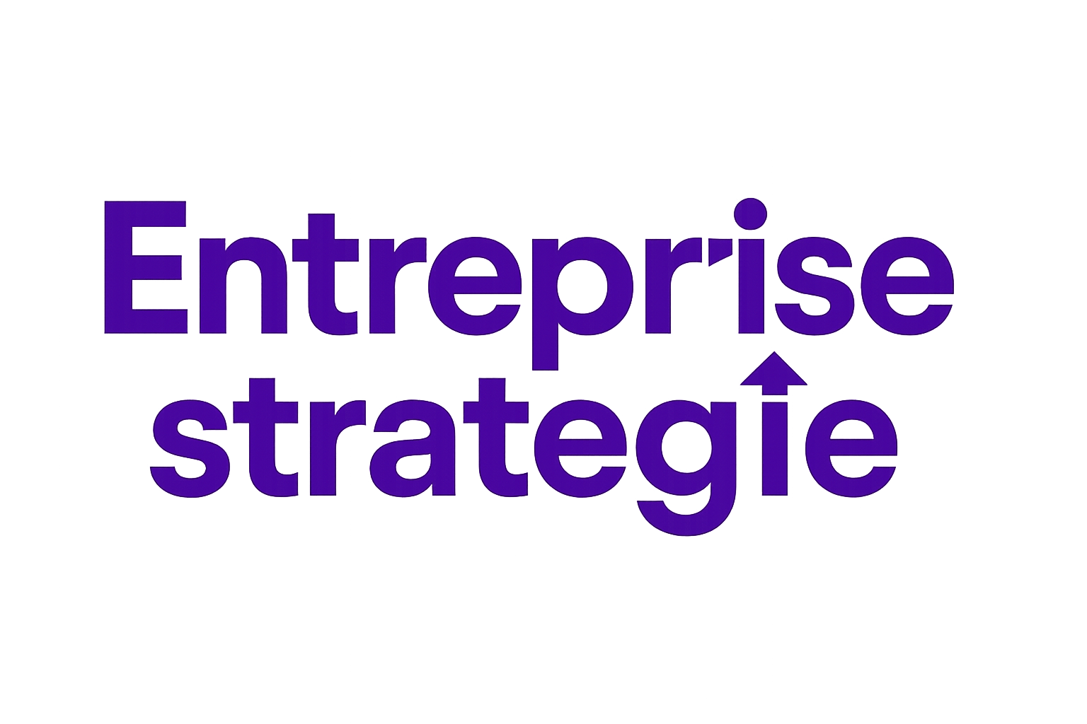 Entreprise Strategie